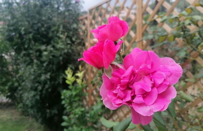 Nonna Paola Guest House - Foto 31