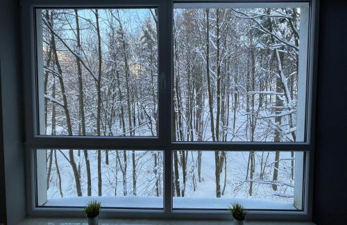 Apartament Kurort Kozubnik - Taras nad Potokiem - Foto 24