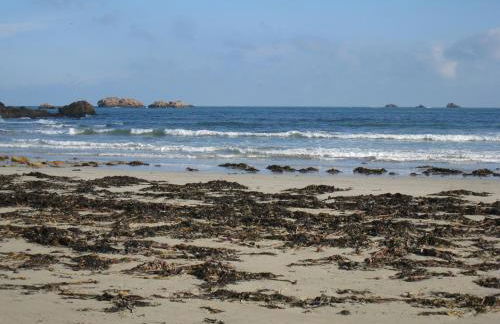 La maison du port - Photo 20