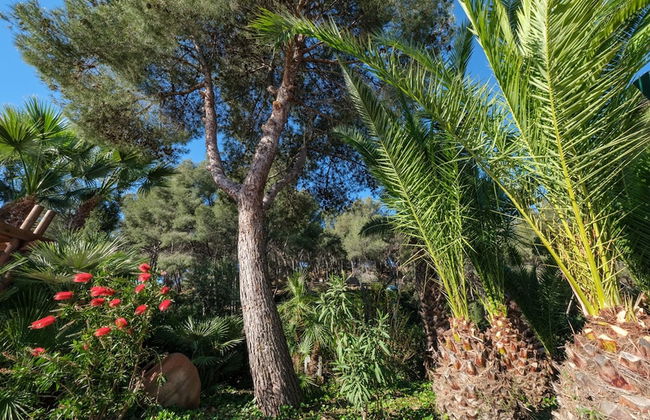 Beautiful Wooden Bungalow With Shared Pool - Foto 39