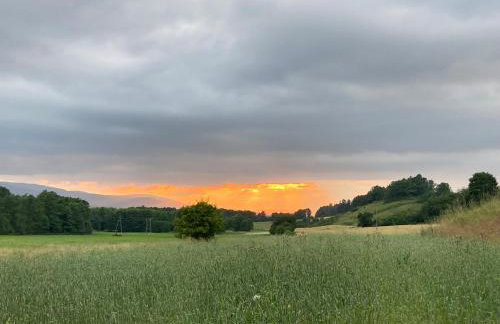 Na Piotrowickiej Przełęczy - Foto 60