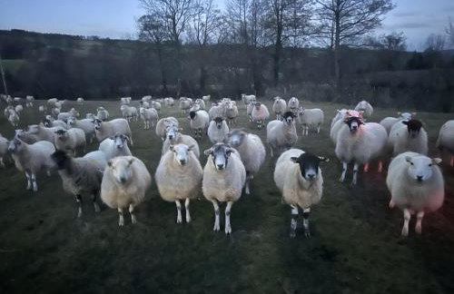 White Haywood Farmhouse - Photo 34