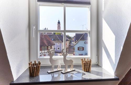 Wohnung 2 - nur 5 Fahrminuten vom Europapark - Foto 4