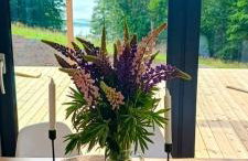 Stodoła Rzym - domek, jacuzzi, sauna, jezioro, las - Foto 34