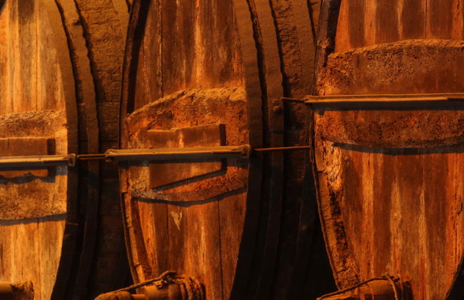 Visite de la cave Tío Pepe - Photo 6