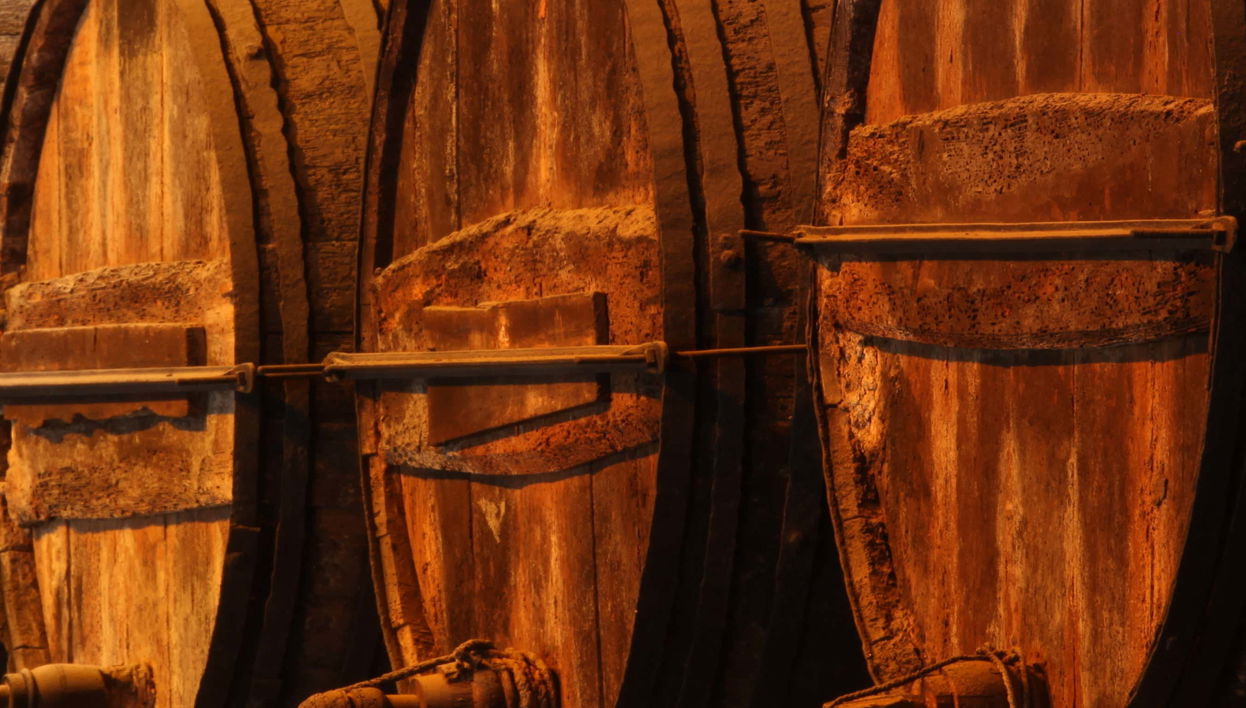 Visite de la cave Tío Pepe