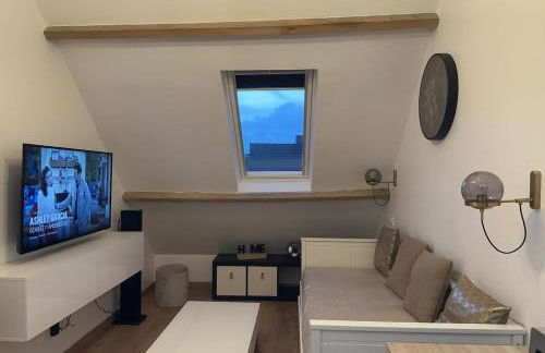 Studio Airport CDG - Asterix - Parc des Expo - Foto 5