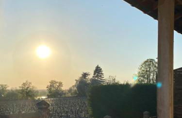 L'Espérance vue sur la vigne et la Loire - Foto 17