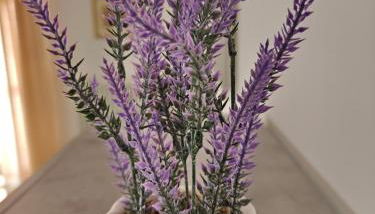 Appartamento donatello - Foto 2