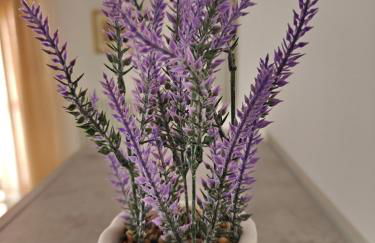 Appartamento donatello - Foto 2