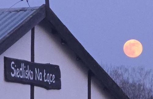 Siedlisko na łące - Foto 45