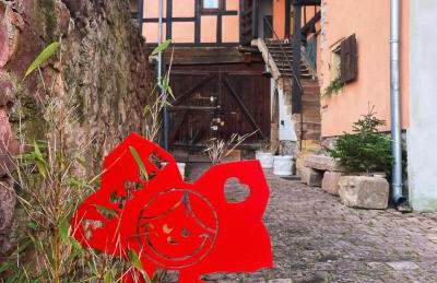 Gîte Origin Gueberschwihr - Photo 38