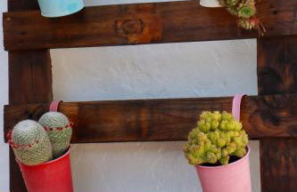 El Patio de los Naranjos - Photo 27