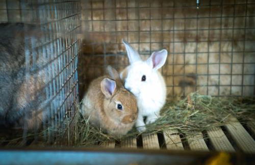 Agriturismo Terra e Cielo - Photo 38