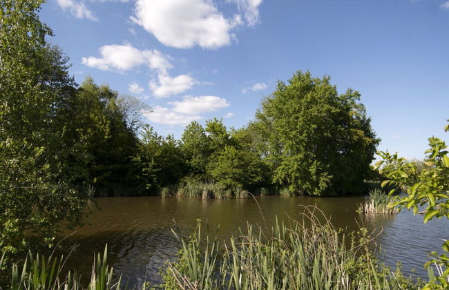 Elas Place Modern Retreat - Foto 13