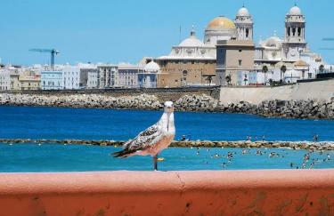 Oceanum Visum Spa Deluxe - Foto 80