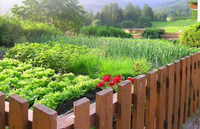 Neunerspitze Comfortable Holiday Residence - Foto 18