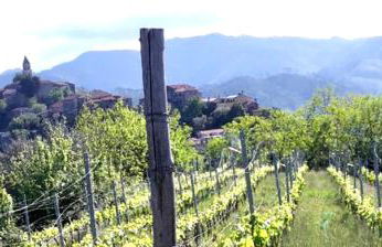 Artists' holiday home near Cinque Terre - 4 bedrooms, large terrace, great views - Foto 44