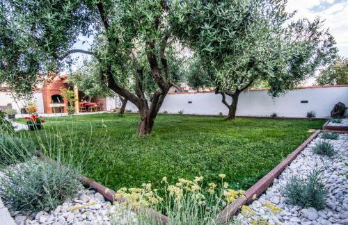 House Nada apartman - Foto 19