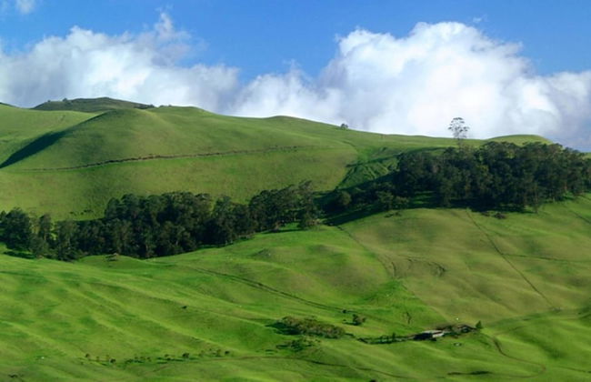 Island Sands 210 - Foto 39