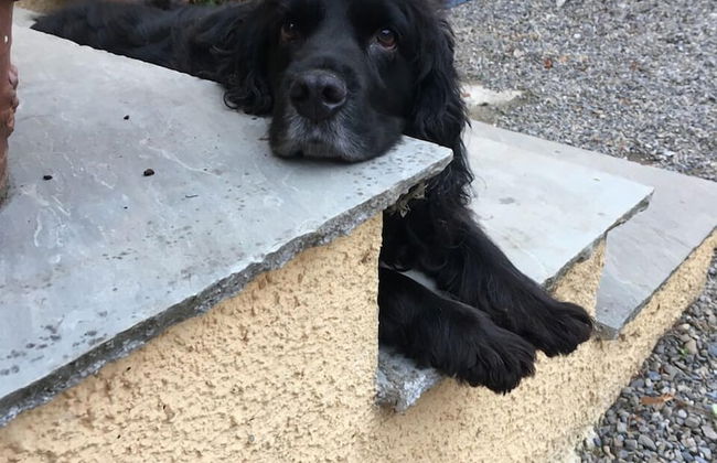 Hotwell House - Foto 24