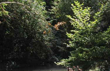 Le gite de paul - Foto 21