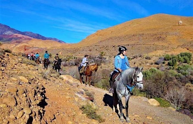 Bio et Bois - Foto 60