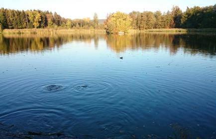 Ferienwohnung Mitwitz Kronach Neustadt Coburg - Erholung, Wandern uvm. sehr ruhig gelegen - Foto 19
