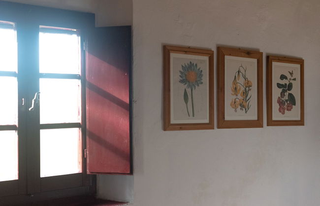 La Torre Rasa - Foto 35