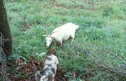 Agriturismo Cisogna - Foto 79