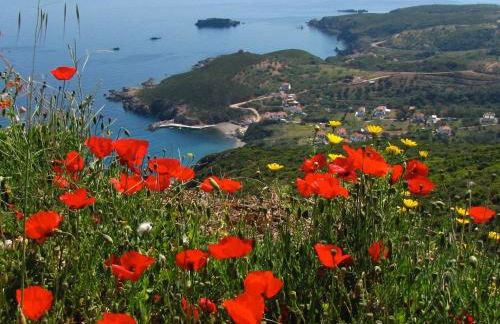 Velanidia Homestay - Foto 42