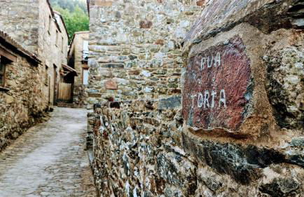 Casa Catraia Gondramaz no Pulmão da Serra da Lousã - Foto 11