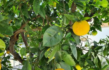 Casa Coqueta - Foto 14