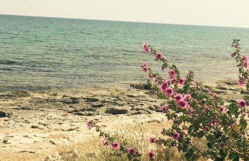 Residence Casa Del Mar Sicilia - Foto 47