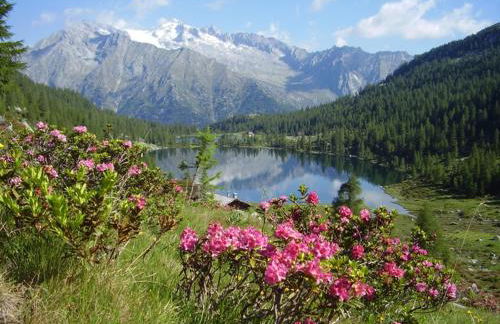 La Casa di Siro - Foto 13