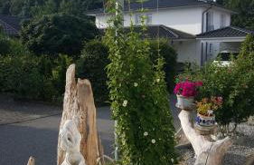 Ferienwohnung Seeblick - Foto 26