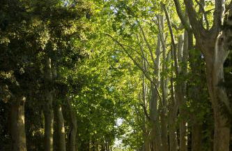 Château Pech-Celeyran - Foto 78