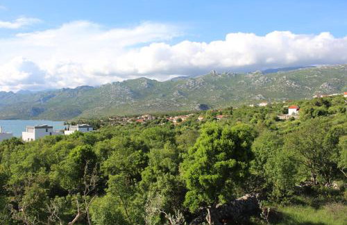 Apartments Bonaca Rovanjska - Foto 44