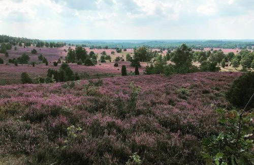 Ferienwohnung Heide View - Foto 36