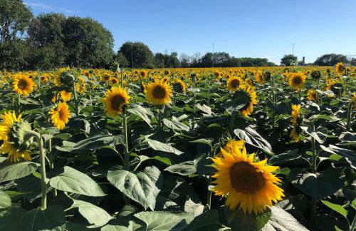 Casale del monte, Pesaro - Foto 46