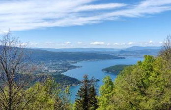 C le birdie - Foto 45