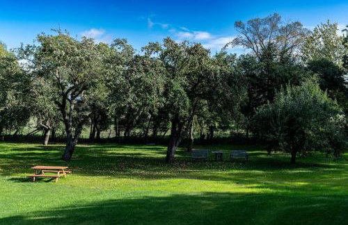 Do Góry Kołami - Foto 51