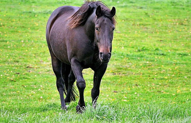 Tranquil Lake View Cottage-by Traum - Foto 27