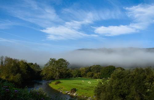 Bwthyn Dyfi - Photo 31