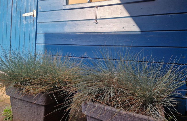 Happy House Bungalow Park Sollasi - Foto 19