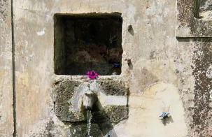 Quinta da Espadana - Photo 75