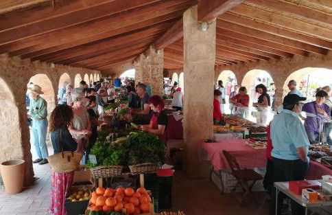 El oasis relajante the relaxing oasis - Photo 47