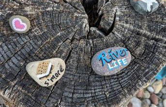 Cottage on the Mississippi Venue and dog friendly - Foto 8