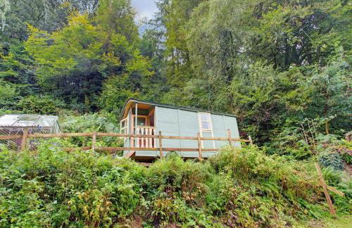 Shepherds Hut Near Exmoor National Park - Foto 52