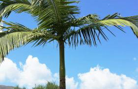 Emerald Hotel - Foto 32